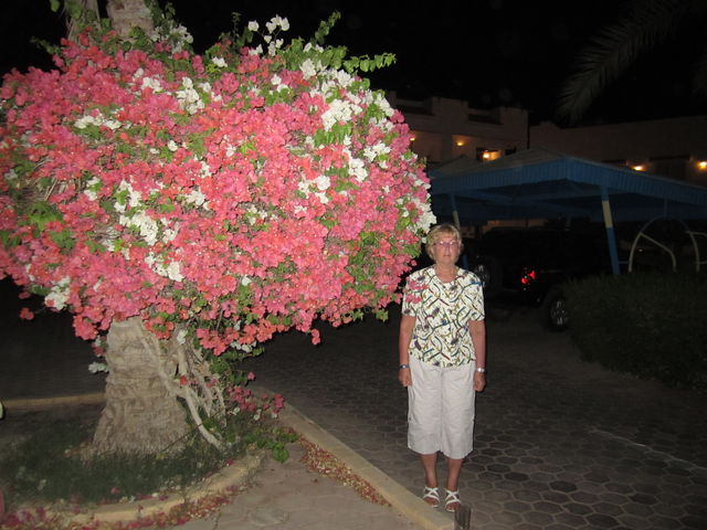 IMG_2689.JPG
